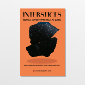 Interstices : Esquisses sur les utopies réelles au Québec Cover