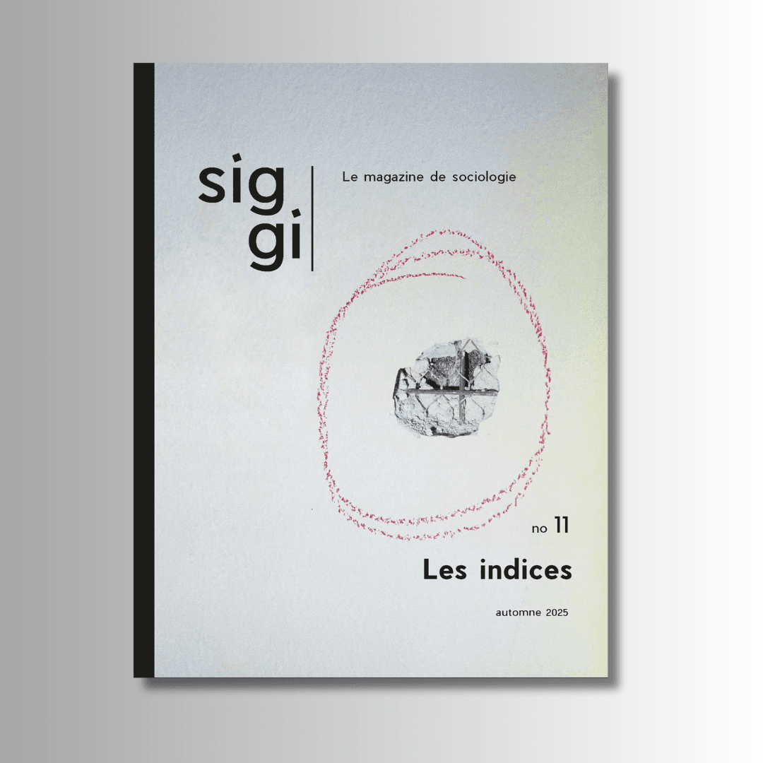 SIGGI - NUMÉRO 11 : Les indices